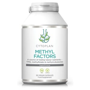 Methyl Factors 60 tabl