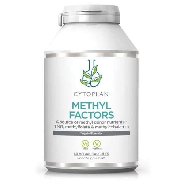 Methyl Factors 60 tabl