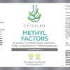 Methyl Factors 60 tabl - Bild 2